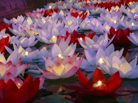 Lotus Floating Lanterns Red - Pack of 1