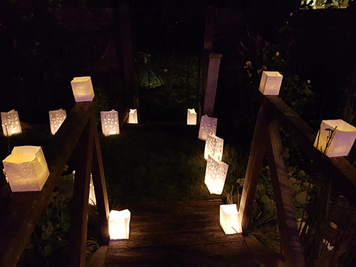 Medium Plain Luminary Candle Bags