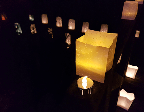 Small Plain Luminary Candle Bags