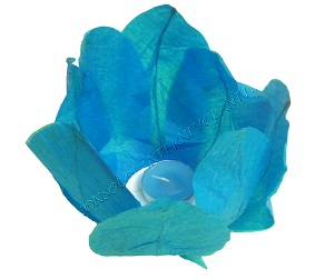 Blue water lilly floating lanterns