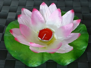 Pink lotus flower floating lanterns 