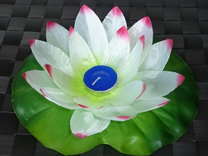 White/pink lotus flower floating lanterns