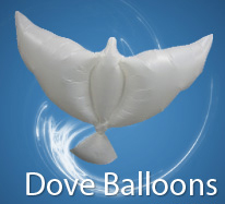 Wedding bio dove balloons