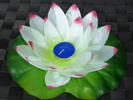 Lotus Floating Lanterns Pink/White - Pack of 1