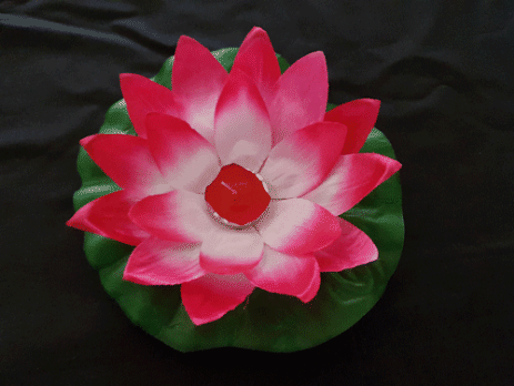 Lotus Floating Lanterns Fuchsia - Pack of 1